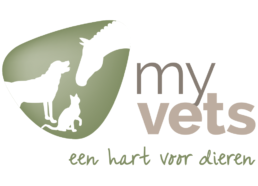 my vets logo 487